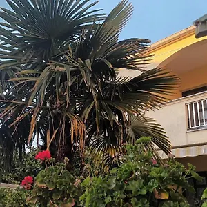 Casper Apartament Zadar